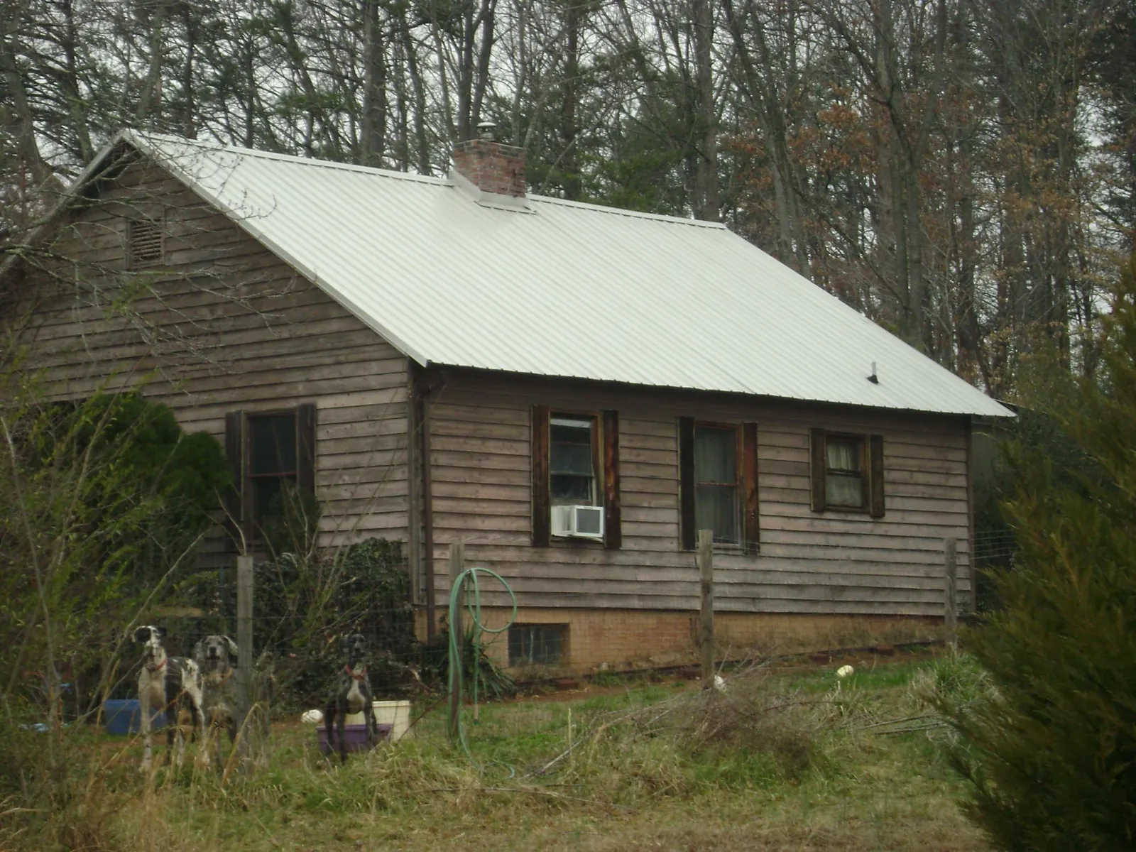 White metal roof on an old wood sided farmhouse, from a Asphalt Shingle Roof Repair job in Flushing